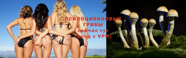 прущий лед Мегион