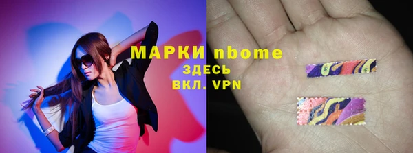 шишки Михайловск