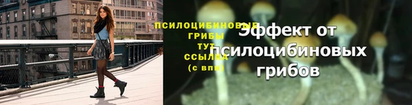 PSILOCYBIN Медвежьегорск