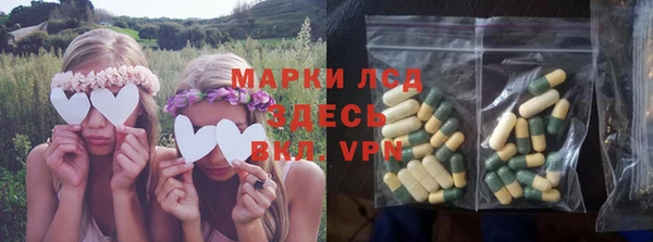 PSILOCYBIN Медвежьегорск