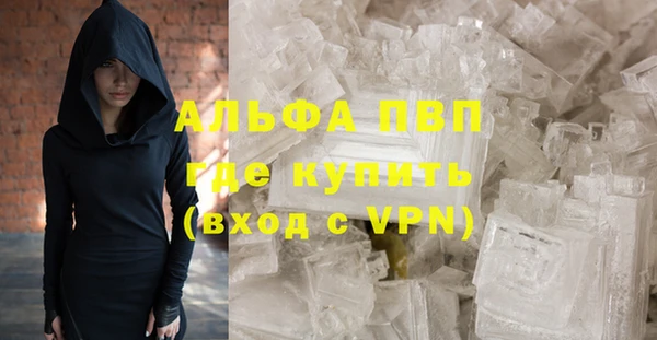 шишки Михайловск
