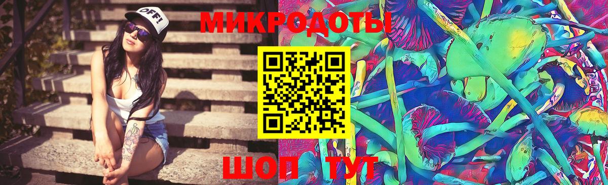 Галлюциногенные грибы Psilocybe  Псилоцибиновые грибы MAGIC MUSHROOMS  Кубинка 